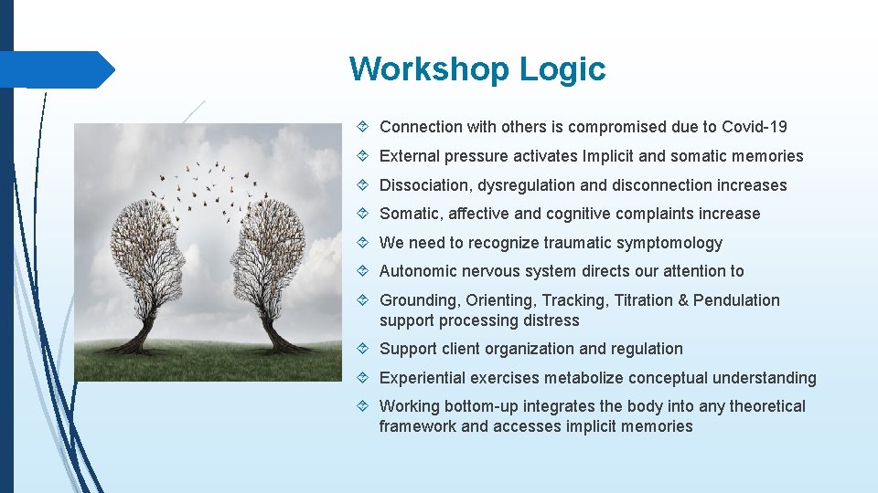 Workshop Logic Connection with others is compromised due to Covid-19 External pressure activates Implicit