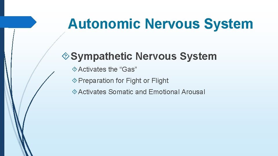 Autonomic Nervous System Sympathetic Nervous System Activates the “Gas” Preparation for Fight or Flight