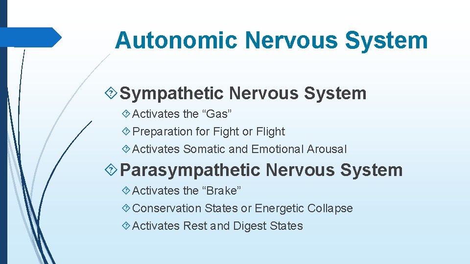 Autonomic Nervous System Sympathetic Nervous System Activates the “Gas” Preparation for Fight or Flight