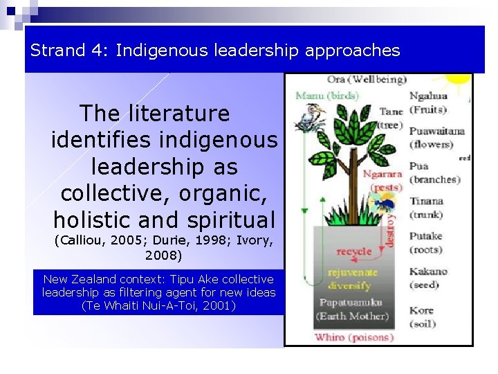 Strand 4: Indigenous leadership approaches The literature identifies indigenous leadership as collective, organic, holistic Strand 4: Indigenous leadership approaches The literature identifies indigenous leadership as collective, organic, holistic