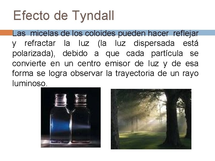 Efecto de Tyndall Las micelas de los coloides pueden hacer reflejar y refractar la