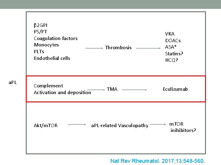 β 2 GPI PS/PT Coagulation factors Monocytes PLTs Endothelial cells a. PL Thrombosis Complement β 2 GPI PS/PT Coagulation factors Monocytes PLTs Endothelial cells a. PL Thrombosis Complement