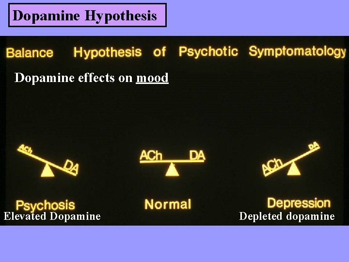 Dopamine Hypothesis Dopamine effects on mood Elevated Dopamine Depleted dopamine 