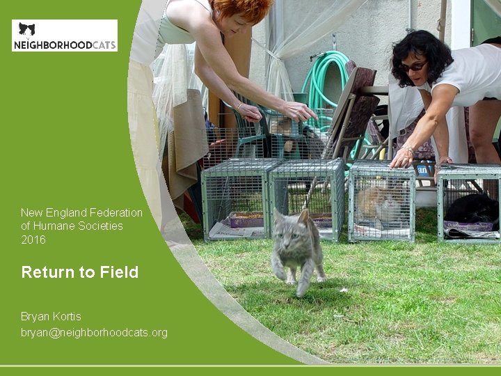 New England Federation of Humane Societies 2016 Return to Field Bryan Kortis bryan@neighborhoodcats. org