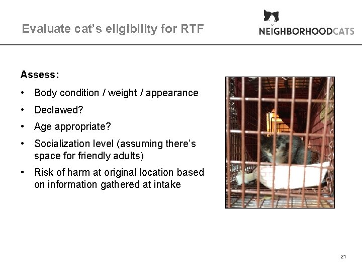 Evaluate cat’s eligibility for RTF Assess: • Body condition / weight / appearance •