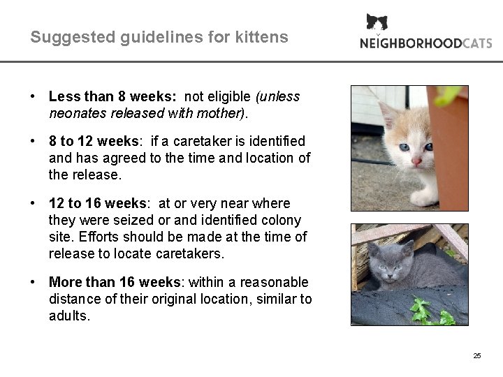 Suggested guidelines for kittens • Less than 8 weeks: not eligible (unless neonates released