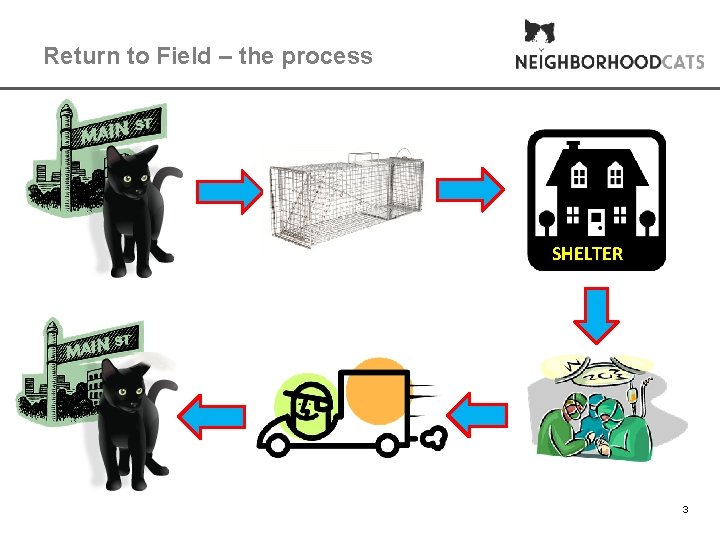 Return to Field – the process SHELTER 3 