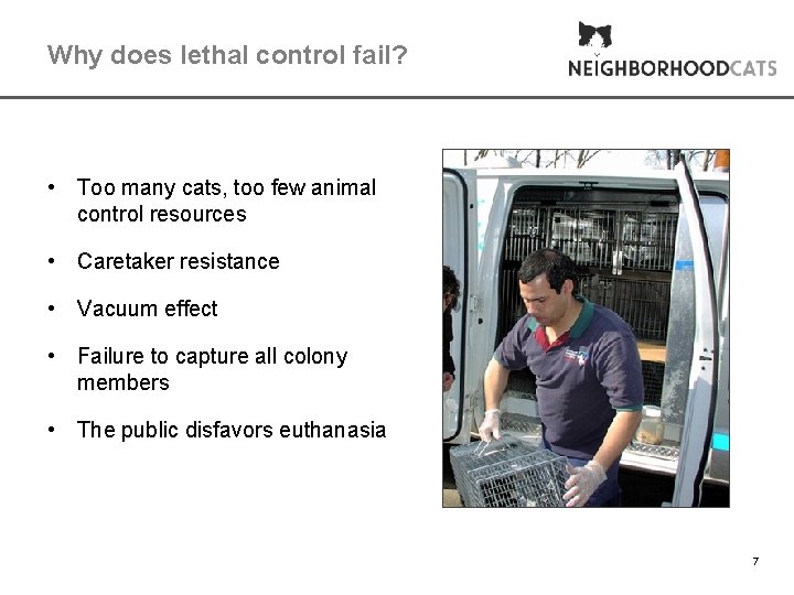 Why does lethal control fail? • Too many cats, too few animal control resources