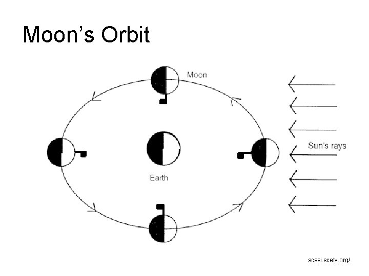 Moon’s Orbit scssi. scetv. org/ 