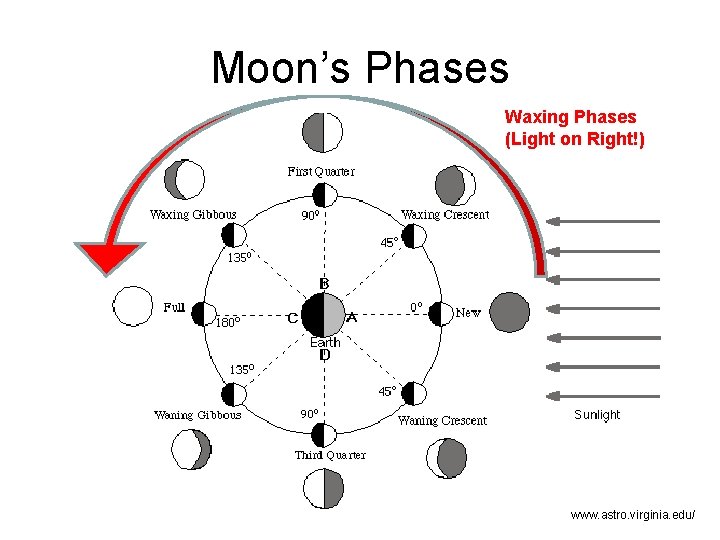 Moon’s Phases Waxing Phases (Light on Right!) www. astro. virginia. edu/ 