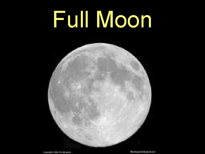 Full Moon 