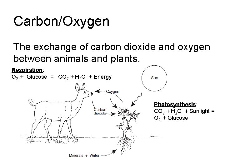 Carbon/Oxygen The exchange of carbon dioxide and oxygen between animals and plants. Respiration: O