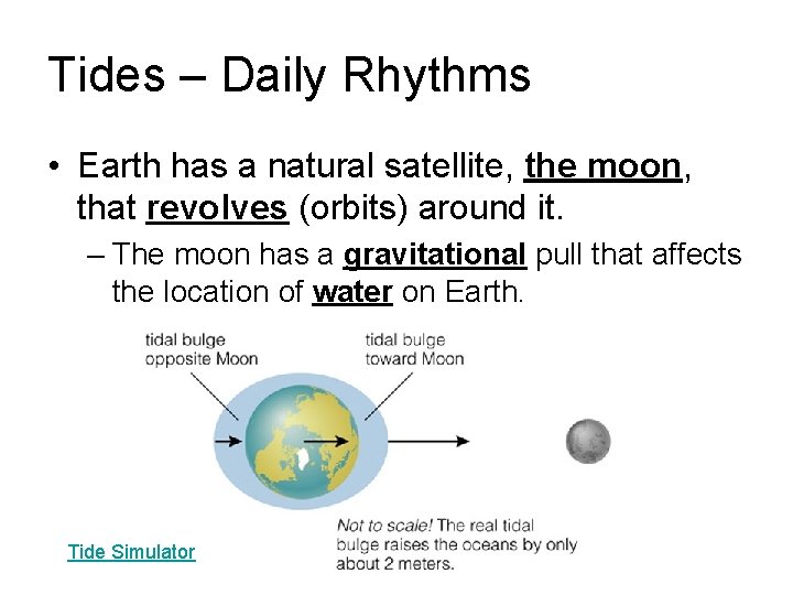Tides – Daily Rhythms • Earth has a natural satellite, the moon, that revolves