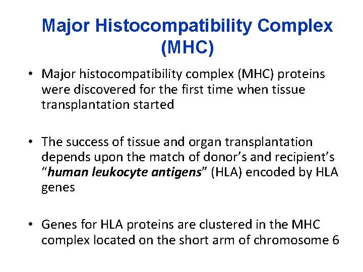 Major Histocompatibility Complex (MHC) • Major histocompatibility complex (MHC) proteins were discovered for the