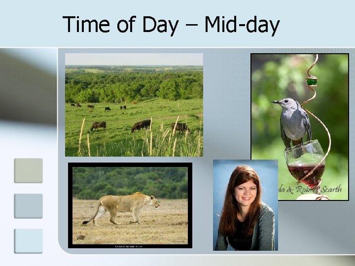 Time of Day – Mid-day 