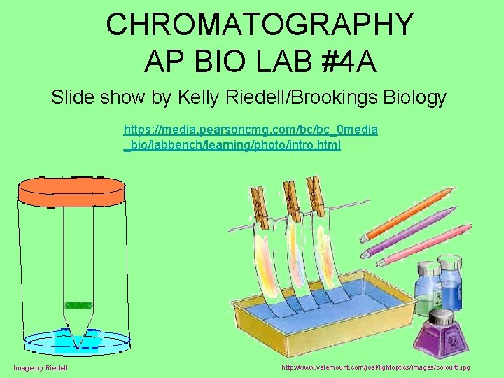 CHROMATOGRAPHY AP BIO LAB #4 A Slide show by Kelly Riedell/Brookings Biology https: //media.