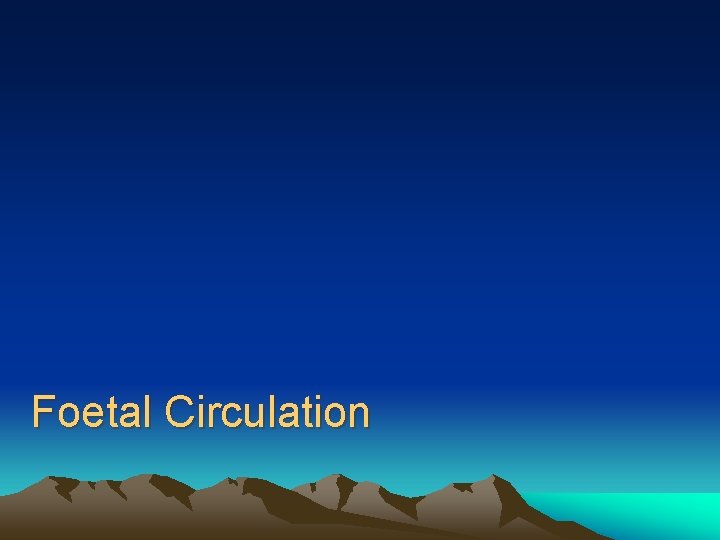 Foetal Circulation 