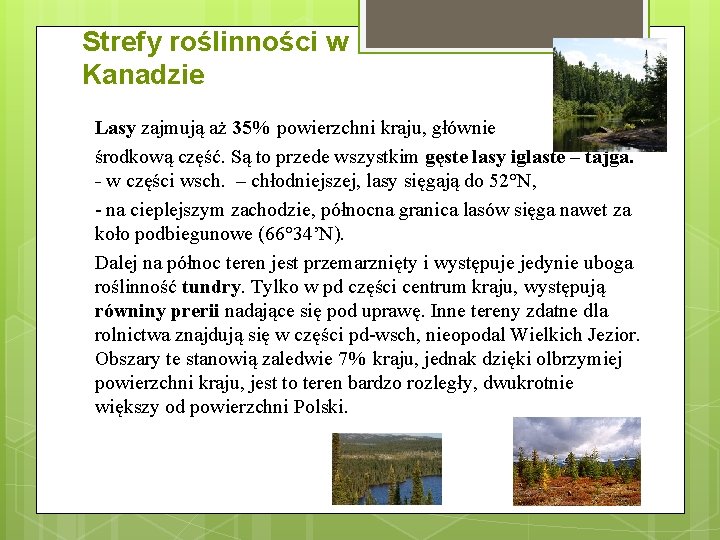 Strefy roślinności w Kanadzie Lasy zajmują aż 35% powierzchni kraju, głównie środkową część. Są