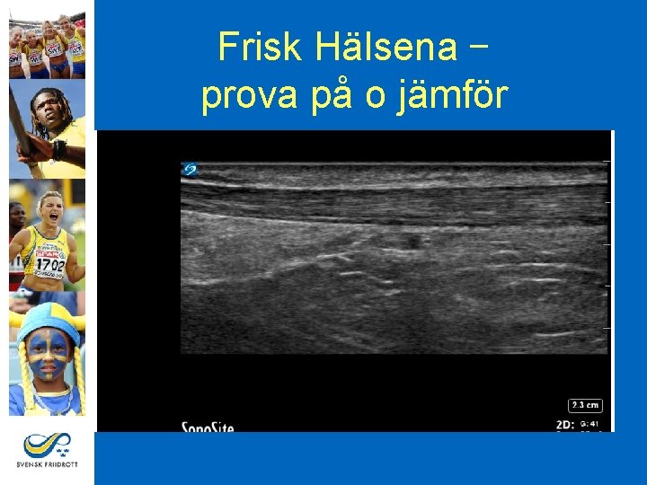 Frisk Hälsena – prova på o jämför 