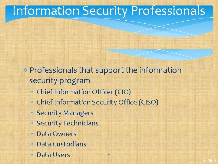 Information Security Professionals that support the information security program Chief Information Officer (CIO) Chief