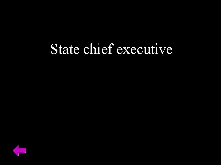 State chief executive 