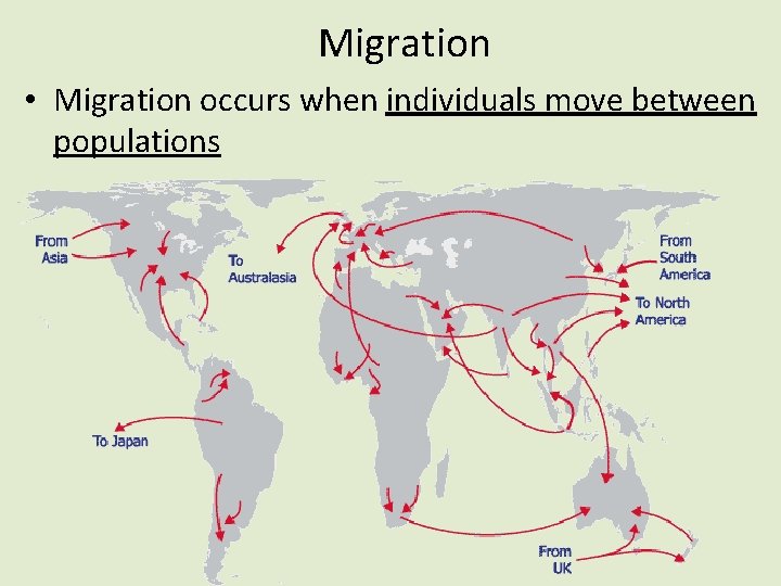 Migration • Migration occurs when individuals move between populations 
