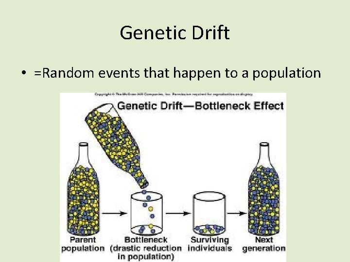 Genetic Drift • =Random events that happen to a population 