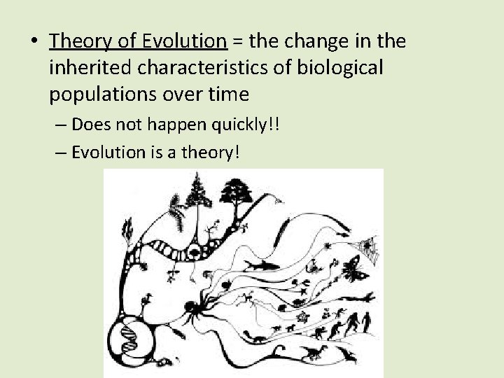  • Theory of Evolution = the change in the inherited characteristics of biological