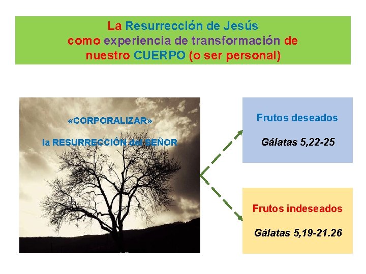 La Resurreccin de Jess como experiencia de transformacin