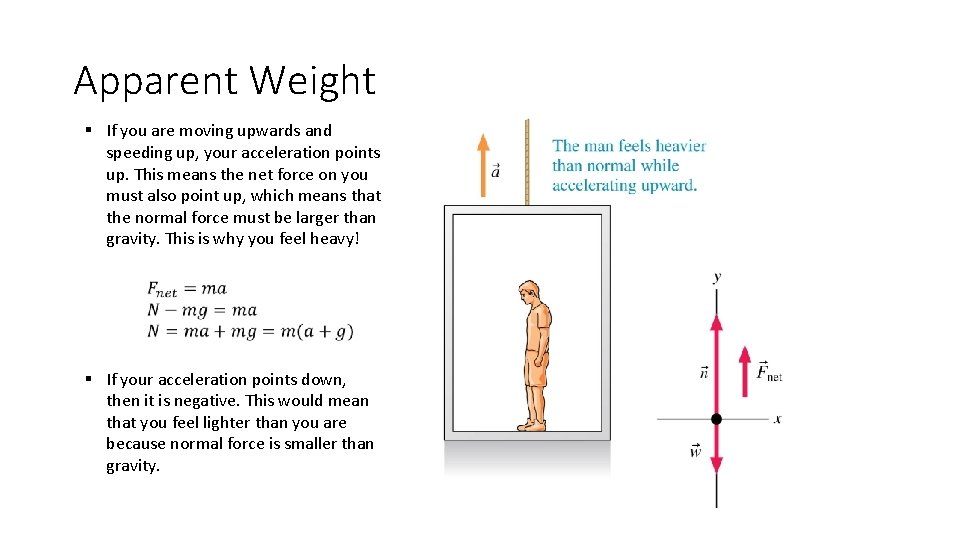 Apparent Weight § If you are moving upwards and speeding up, your acceleration points Apparent Weight § If you are moving upwards and speeding up, your acceleration points