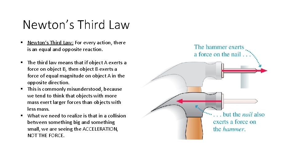 Newton’s Third Law § Newton’s Third Law: For every action, there is an equal Newton’s Third Law § Newton’s Third Law: For every action, there is an equal