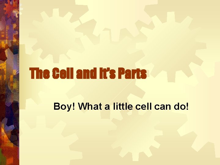 The Cell and it’s Parts Boy! What a little cell can do! 