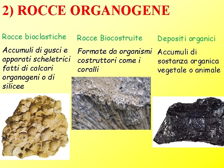 2) ROCCE ORGANOGENE Rocce bioclastiche Rocce Biocostruite Depositi organici Accumuli di gusci e Formate 2) ROCCE ORGANOGENE Rocce bioclastiche Rocce Biocostruite Depositi organici Accumuli di gusci e Formate