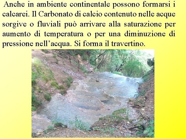 Anche in ambiente continentale possono formarsi i calcarei. Il Carbonato di calcio contenuto nelle Anche in ambiente continentale possono formarsi i calcarei. Il Carbonato di calcio contenuto nelle
