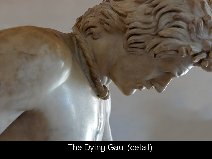 The Dying Gaul (detail) 