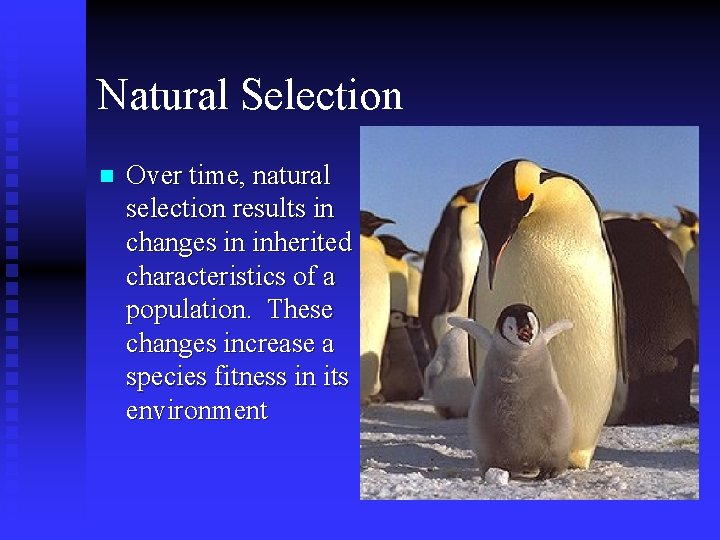 Natural Selection n Over time, natural selection results in changes in inherited characteristics of Natural Selection n Over time, natural selection results in changes in inherited characteristics of