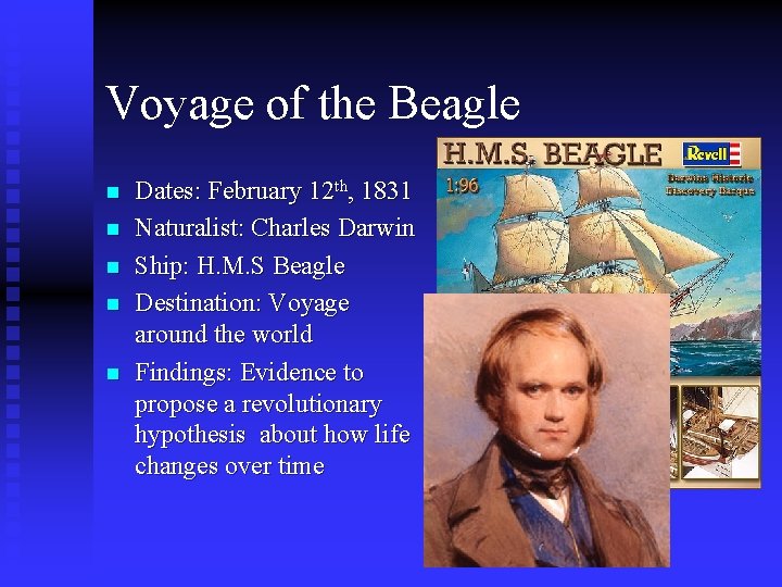 Voyage of the Beagle n n n Dates: February 12 th, 1831 Naturalist: Charles Voyage of the Beagle n n n Dates: February 12 th, 1831 Naturalist: Charles