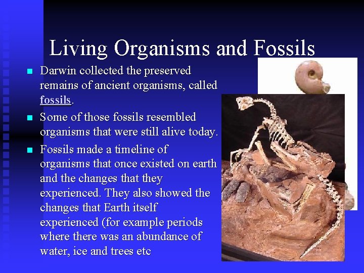 Living Organisms and Fossils n n n Darwin collected the preserved remains of ancient Living Organisms and Fossils n n n Darwin collected the preserved remains of ancient