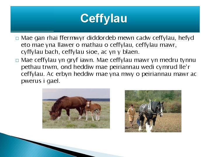 Ceffylau � � Mae gan rhai ffermwyr diddordeb mewn cadw ceffylau, hefyd eto mae