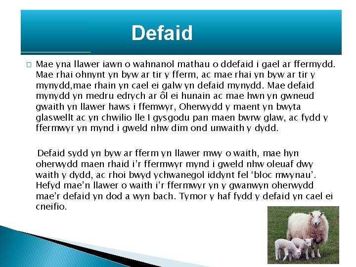 Defaid � Mae yna llawer iawn o wahnanol mathau o ddefaid i gael ar