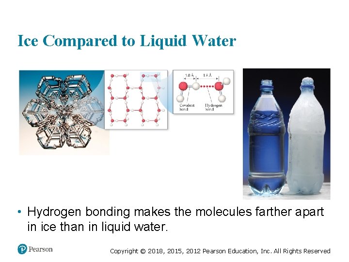 Ice Compared to Liquid Water • Hydrogen bonding makes the molecules farther apart in