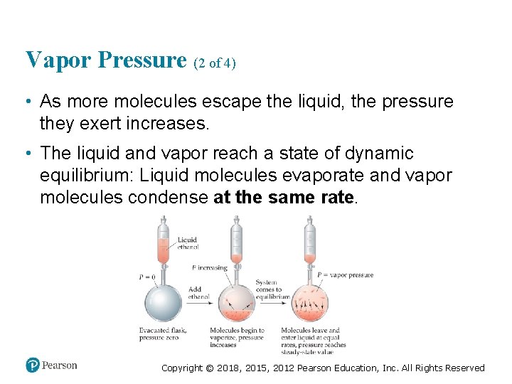 Vapor Pressure (2 of 4) • As more molecules escape the liquid, the pressure