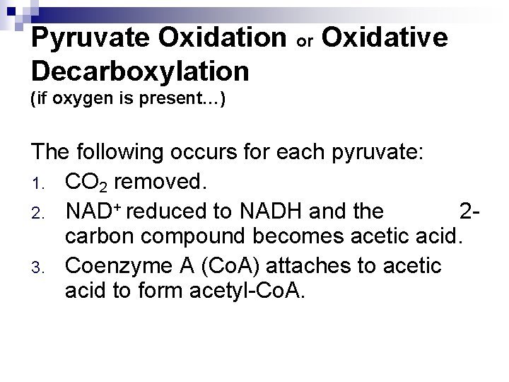Pyruvate Oxidation or Oxidative Decarboxylation (if oxygen is present…) The following occurs for each