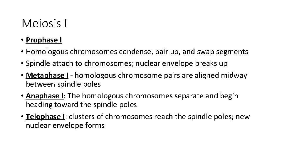 Meiosis I • Prophase I • Homologous chromosomes condense, pair up, and swap segments Meiosis I • Prophase I • Homologous chromosomes condense, pair up, and swap segments