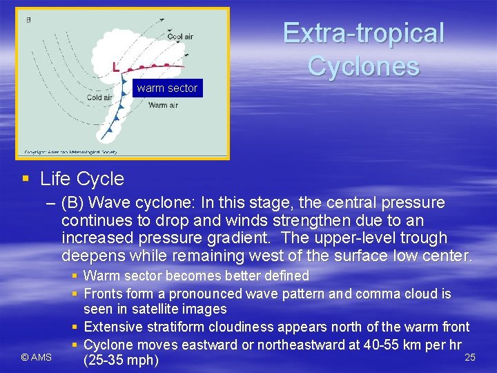 warm sector Extra-tropical Cyclones § Life Cycle – (B) Wave cyclone: In this stage,