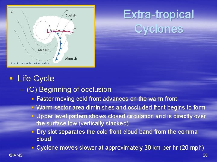 Extra-tropical Cyclones § Life Cycle – (C) Beginning of occlusion § Faster moving cold