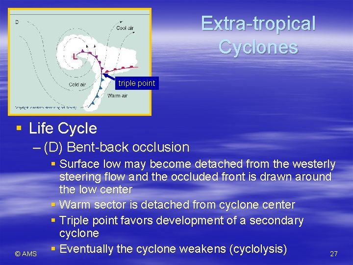 Extra-tropical Cyclones triple point § Life Cycle – (D) Bent-back occlusion © AMS §