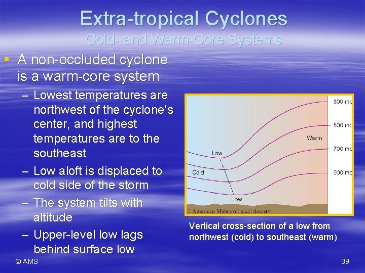 Extra-tropical Cyclones Cold- and Warm-Core Systems § A non-occluded cyclone is a warm-core system
