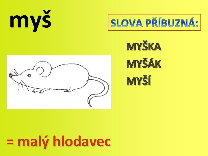 myš MYŠKA MYŠÁK MYŠÍ = malý hlodavec 