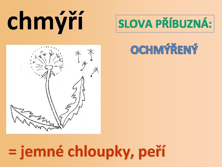 chmýří SLOVA PŘÍBUZNÁ: OCHMÝŘENÝ = jemné chloupky, peří 